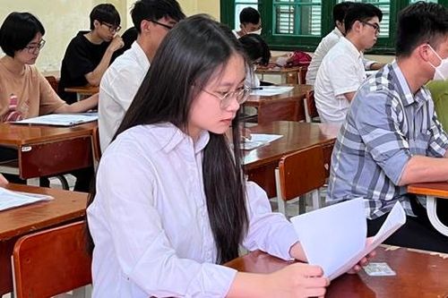 Gợi ý đáp án bài thi tổ hợp Khoa học tự nhiên Kỳ thi tốt nghiệp trung học phổ thông 2023