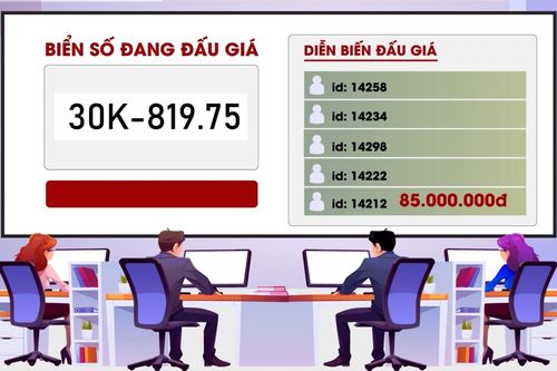Các bước tham gia đấu giá biển số ôtô