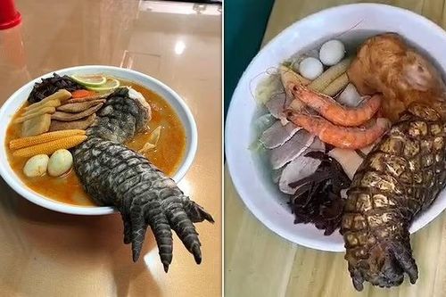 Chủ tiệm mở lời về tô mì ramen chân cá sấu giá 50 USD