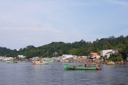 Kiên Giang: Ngưng khai thác một số hải sản đến cuối năm 2023