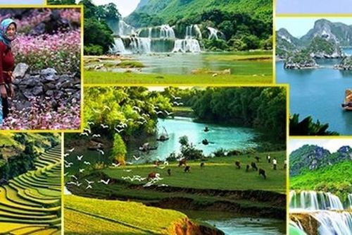 Cơ cấu tổ chức của Cục Du lịch quốc gia Việt Nam có hiệu lực từ 1/7/2023