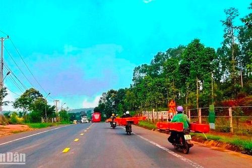 Đắk Nông: Dùng xe máy vận chuyển gỗ lậu trên quốc lộ 14