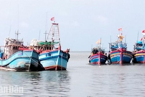 Cấm khai thác nghêu lụa, sò huyết, hến tại vùng ven bờ biển Kiên Giang từ ngày 1/7