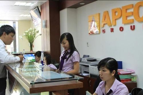 Cổ phiếu lao dốc sau khởi tố vụ án thao túng giá, nhóm công ty APEC thay một loạt chủ tịch