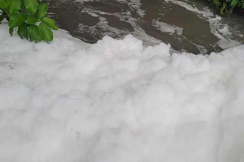 'Bọt trắng lạ, mùi hôi nồng nặc' xuất hiện khi mưa ngập ở Đồng Nai