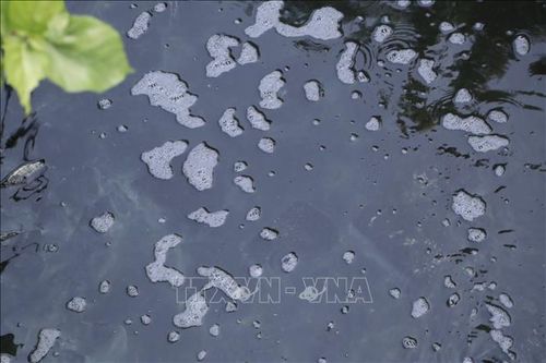 Bức xúc ô nhiễm từ nước thải sinh hoạt ở thành phố Quảng Ngãi
