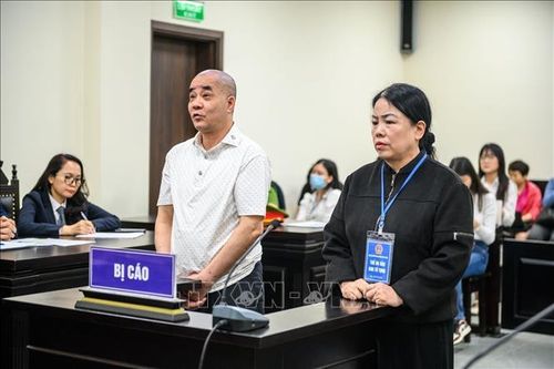 Kháng nghị giảm hình phạt trong vụ chuyển nhượng 'đất vàng' tại phố Bà Triệu