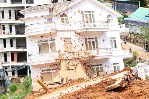 Lâm Đồng: Tạm đình chỉ công tác Trưởng Phòng quản lý đô thị Đà Lạt