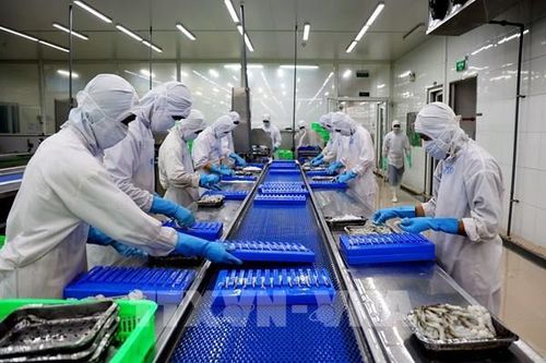 Đẩy mạnh tích hợp công nghệ số trong quản lý dịch bệnh thủy sản