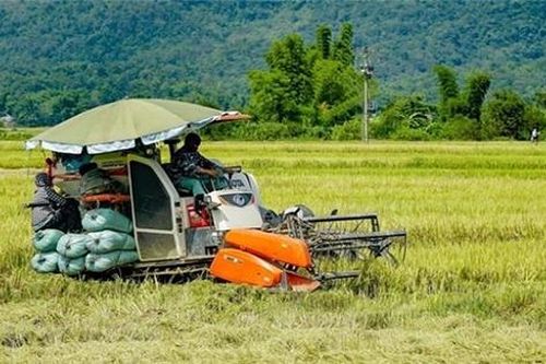 Đầu tư nông nghiệp bền vững là một cách thực hiện sứ mệnh của doanh nhân