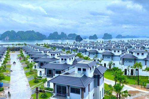 Tia hy vọng từ đại hội lần 1 bất thành của Tập đoàn CEO