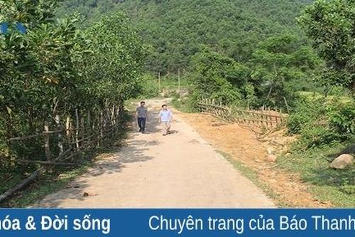 Về 'làng cổ' Tân Hùng