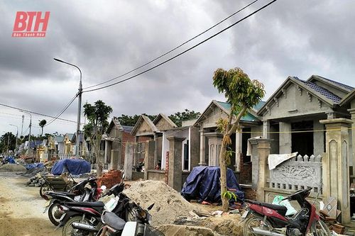Nụ cười đã nở phía chân đê