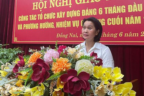 Tiếp tục tham mưu, thực hiện tốt công tác tổ chức xây dựng Đảng