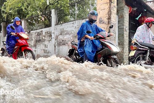 Nhiều tuyến đường tại TP.Biên Hòa ngập sâu trong cơn mưa chiều 30-6