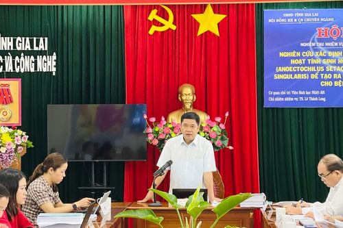 Đề tài nghiên cứu cây lan kim tuyến và sâm đá tạo ra sản phẩm hỗ trợ sức khỏe đạt loại xuất sắc
