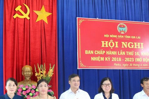 Gia Lai: Hoàn thành đại hội đại biểu Hội Nông dân cấp huyện