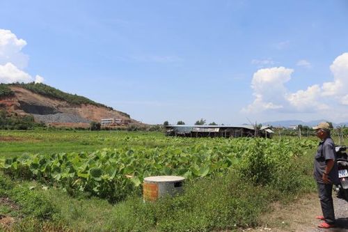 Hộ dân có đất ở cánh đồng thôn Quang Đông (xã Ninh Đông): Sổ cấp một nơi, đất nằm một nẻo