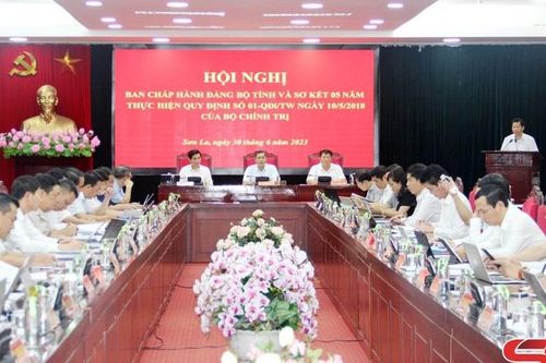 Hội nghị Ban Chấp hành Đảng bộ tỉnh và sơ kết 5 năm thực hiện Quy định số 01-QĐi/TW của Bộ Chính trị