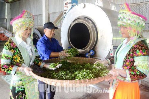 Trụ đỡ của nền kinh tế - Bài cuối: Tích hợp đa giá trị trong sản xuất nông nghiệp