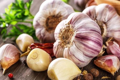 Hoang mang về tác hại của ngũ vị tân