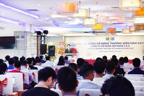 CEO: ĐHĐCĐ thường niên năm 2023 lần 1 không đủ điều kiện tiến hành