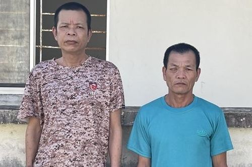 Bắt tạm giam 2 đối tượng hủy hoại rừng ở Phú Quốc