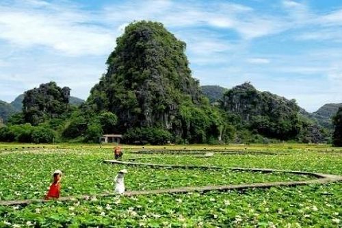Hang Múa - Ninh Bình: Địa điểm chụp ảnh, sống ảo yêu thích của giới trẻ