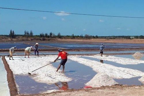 Phát triển nghề làm muối trở thành ngành kinh tế mũi nhọn - Bài 1: Thăng trầm nghề muối