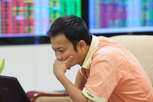 Lãi liên tục, vẫn lùi trả cổ tức cả chục năm, cổ đông phải làm gì?