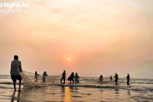 'Đi giật lùi' trên biển, ngư dân Nghệ An kiếm nửa triệu mỗi ngày