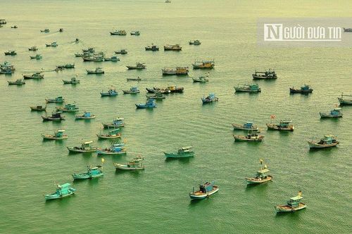 Kiên Giang: Cấm khai thác nghêu, sò, hến vùng ven biển trong 6 tháng