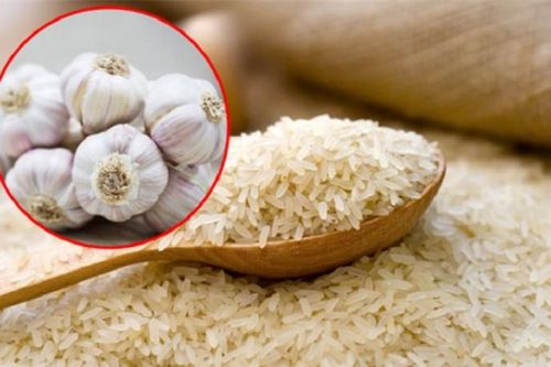 Vùi tỏi vào thùng gạo có lợi ích gì?