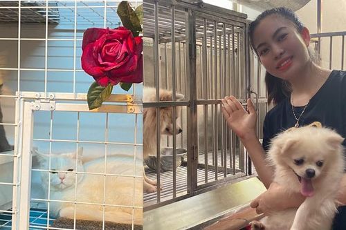Khởi nghiệp bằng Dự án 'nhà trẻ' cho thú cưng