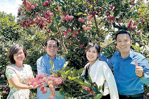'Sửa lỗi' cho sản phẩm du lịch địa phương