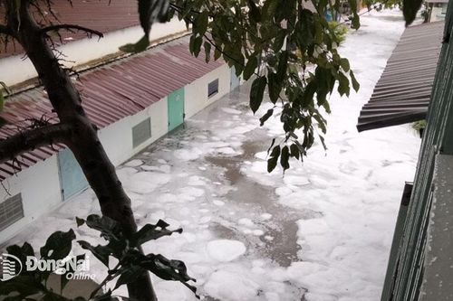 Chủ tịch UBND tỉnh chỉ đạo khẩn xác minh vụ nước bọt trắng ngập vào nhà dân ở TP.Biên Hòa