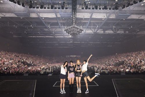 Rất hoan nghênh BlackPink đến biểu diễn tại Việt Nam