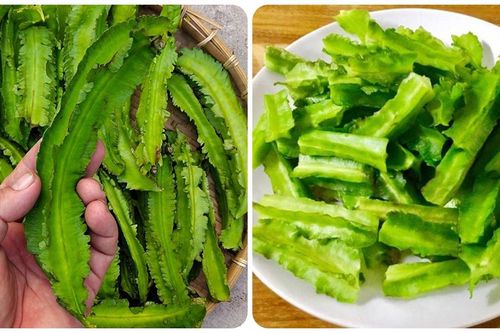 Đậu rồng có tác dụng gì?