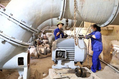 Khẩn trương triển khai các biện pháp ứng phó