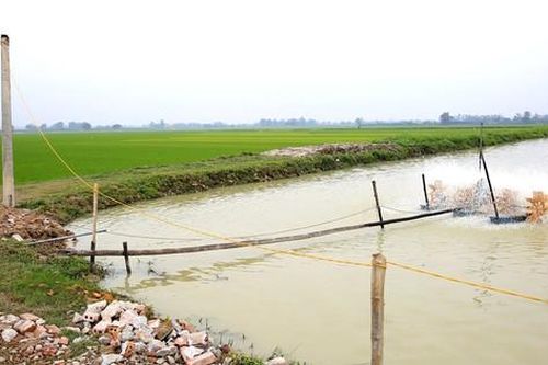 Kiên trì với giải pháp tuyên truyền