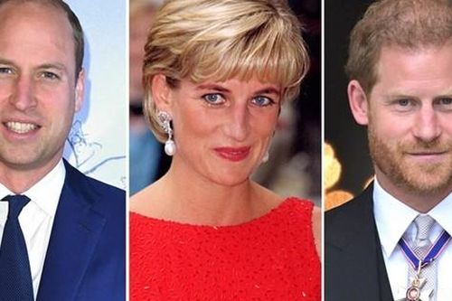 Hoàng tử William và Harry 'tái hợp' vì Công nương Diana nhưng vẫn thể hiện sự xa cách