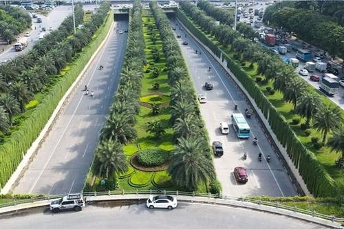Rừng trong phố