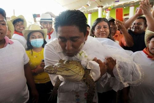 Thị trưởng Mexico kết hôn với cá sấu vì sự thịnh vượng