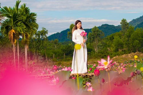 Check-in bên đầm sen ở Quảng Nam