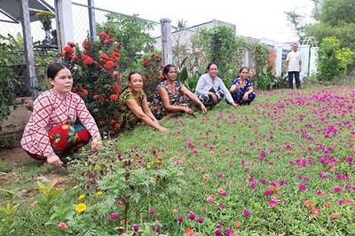 Đồng bào Khmer chung tay xây dựng đường hoa kiểu mẫu