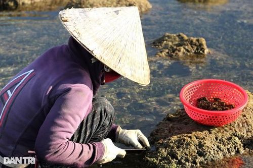 Quảng Nam: Còng lưng, khom gối 'cạo tiền' trên ghềnh đá