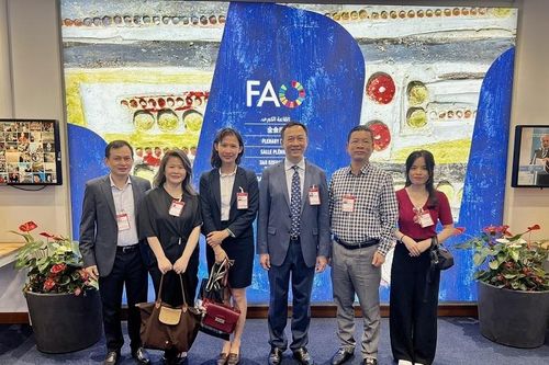 Hội nghị cấp Bộ trưởng của FAO nêu bật kinh nghiệm quản lý tài nguyên nước của Việt Nam