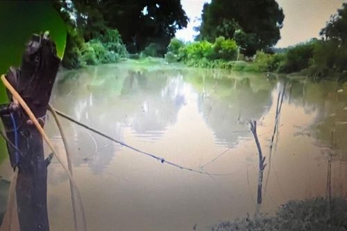 Hai anh em ruột thương vong do dây điện bẫy chuột ở Thanh Hóa
