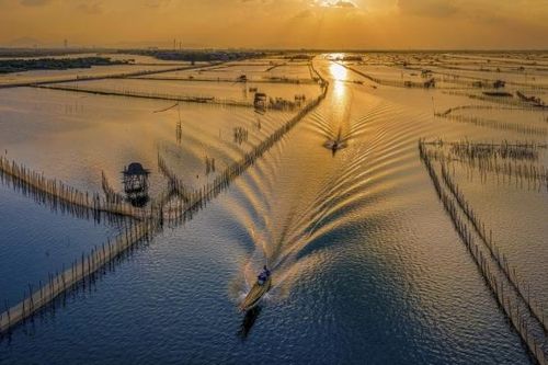 Vẻ đẹp khó cưỡng của phá Tam Giang - Đầm phá nước lợ lớn nhất Đông Nam Á