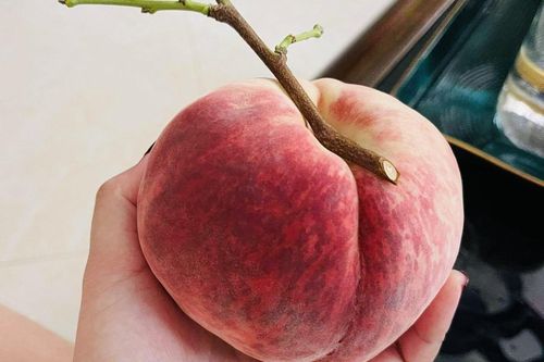 Mít ruột đỏ rớt giá, 'đào tiên' Trung Quốc đắt vẫn 'hút' khách